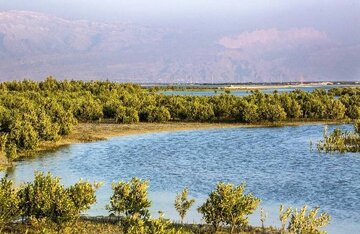 ۸ هکتار از اراضی پارک‌ ملی دریایی نایبند از متصرفان بازپس گرفته شد