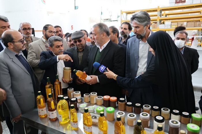 ۷۰۰ تن گوشت سفید و قرمز در خراسان جنوبی ذخیرهسازی شد