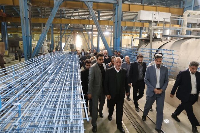 ۷۰۰ تن گوشت سفید و قرمز در خراسان جنوبی ذخیرهسازی شد