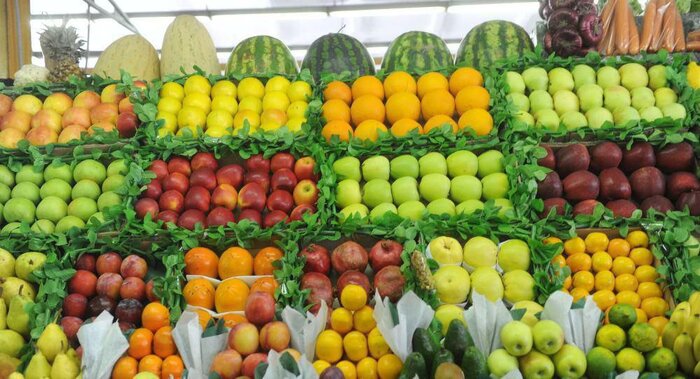 توسعه باغ ها در زمین های شیب‌دار؛ فرصت ها و چالش ها
