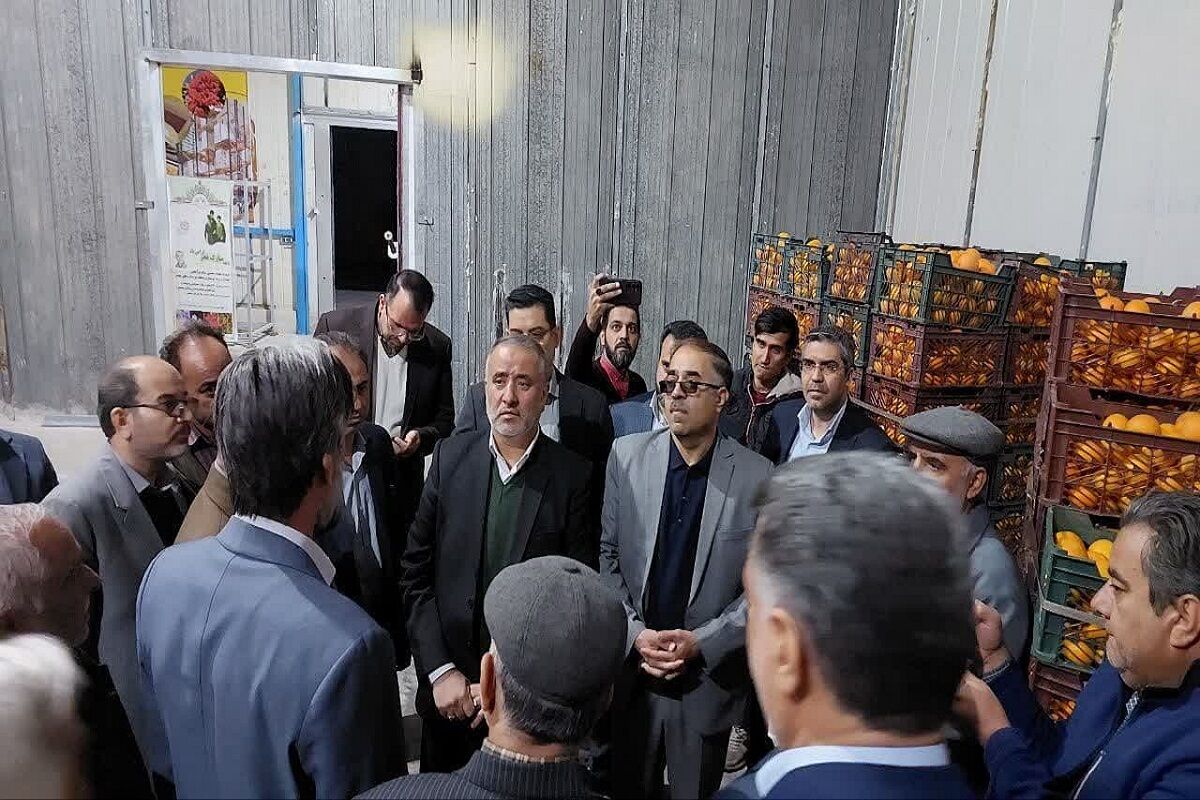 ۷۰۰ تن گوشت سفید و قرمز در خراسان جنوبی ذخیرهسازی شد ۷۰۰ تن گوشت سفید و قرمز در خراسان جنوبی ذخیرهسازی شد