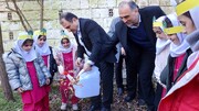 فیلم | دانش آموزان غرب مازندران به پیشواز هفته منابع طبیعی رفتند