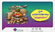 بیمه ملت طرح ویژه بیمه حوادث انفرادی سفرهای نوروزی را ارائه کرد