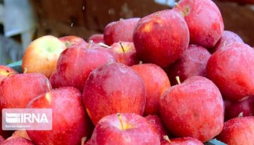 کالاهای ضروری گلپایگانی‌ها در ۵ مرکز عرضه می‌شود