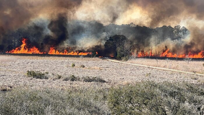 آتش‌سوزی در ایالت کارولینای آمریکا؛ دستور تخلیه صادر شد