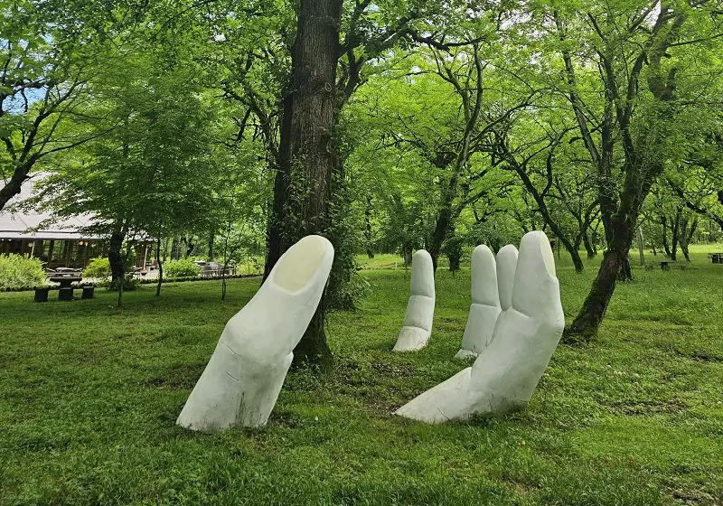 کمپینگ در دو هزار؛ تجربهای به یادماندنی از شبهای جنگل