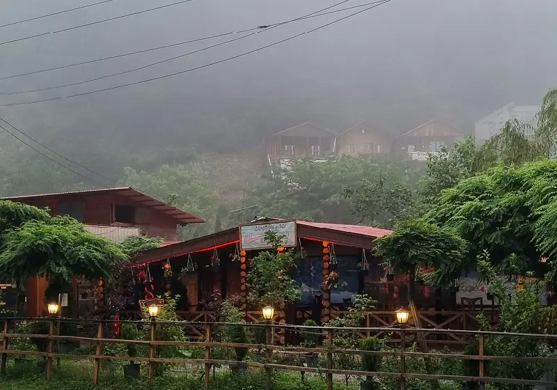 کمپینگ در دو هزار؛ تجربهای به یادماندنی از شبهای جنگل