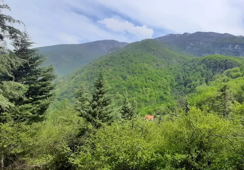 کمپینگ در دو هزار؛ تجربهای به یادماندنی از شبهای جنگل