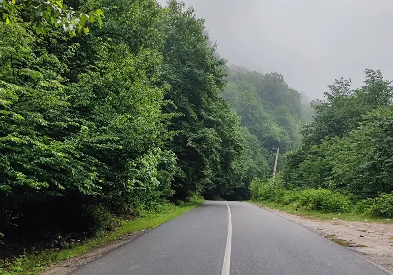 کمپینگ در دو هزار؛ تجربهای به یادماندنی از شبهای جنگل