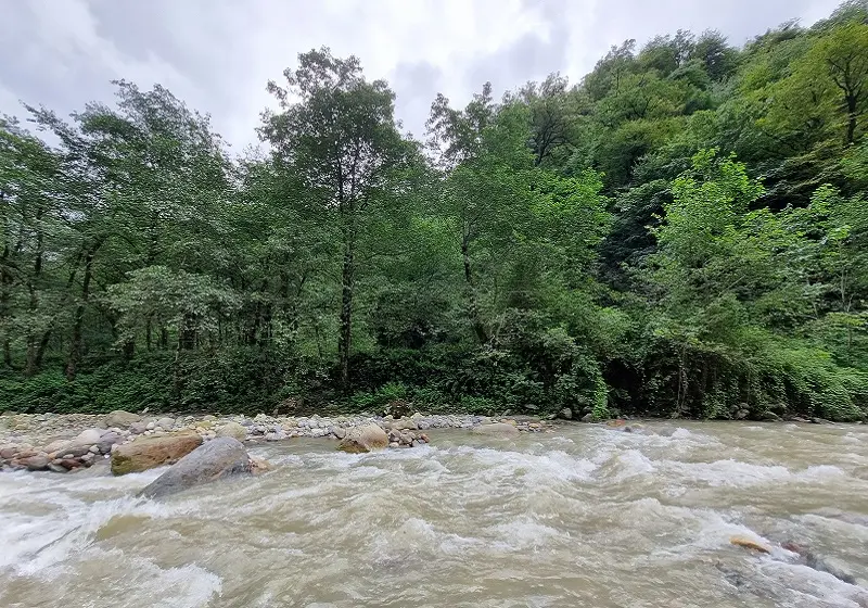 کمپینگ در دو هزار؛ تجربهای به یادماندنی از شبهای جنگل