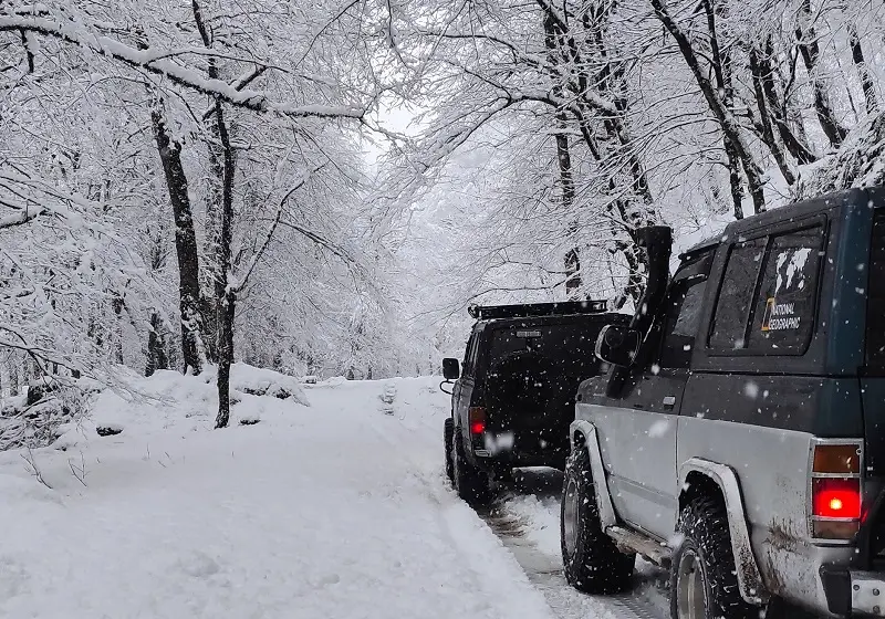 کمپینگ در دو هزار؛ تجربهای به یادماندنی از شبهای جنگل