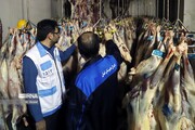 ۶ تن فرآورده خام دامی فاسد در ایلام معدوم شد