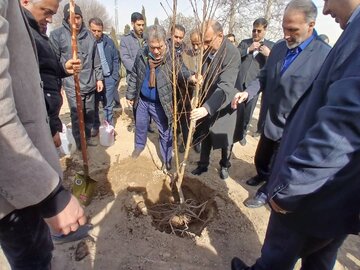 کاشت درختان کم آب بر  لازمه عبور از خشکسالی در کشور است