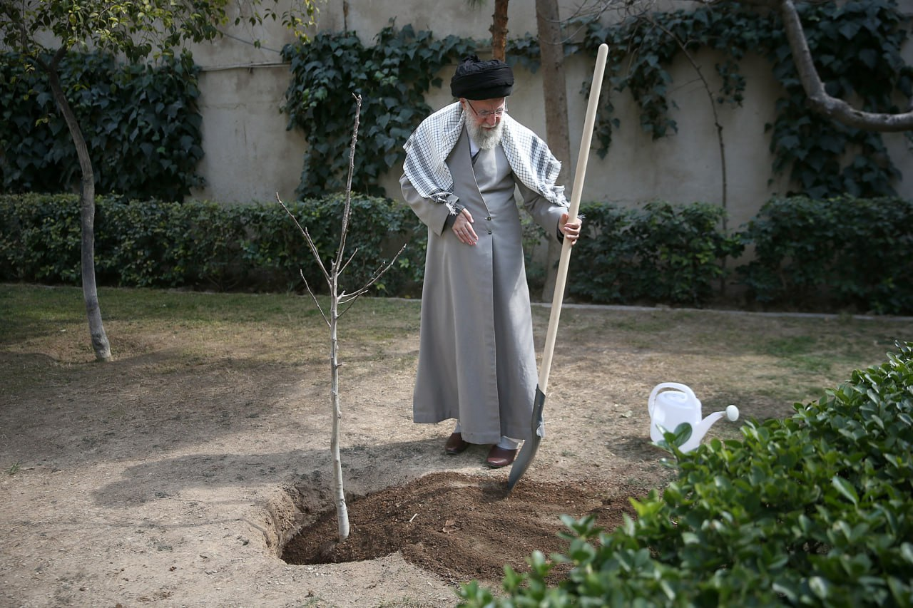 رهبر انقلاب سه اصله نهال کاشتند