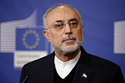 Ali Akbar Salehi nommé à la tête de la Fondation d'Iranologie