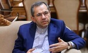 Iran, Austria cultural ties a bridge between two nations: Iran deputy FM
