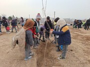 درختکاری به رسم کرج با کاشت نهال توسط نونهالان