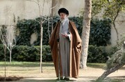 Líder de Irán: Plantar árboles es generar riqueza