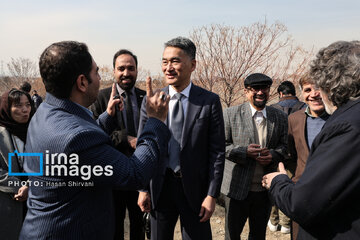 In photos: Foreign diplomats plant wild olive saplings in Tehran