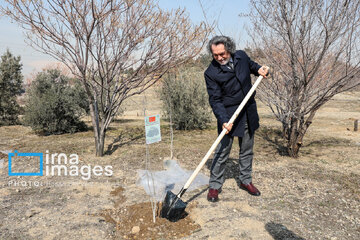 In photos: Foreign diplomats plant wild olive saplings in Tehran