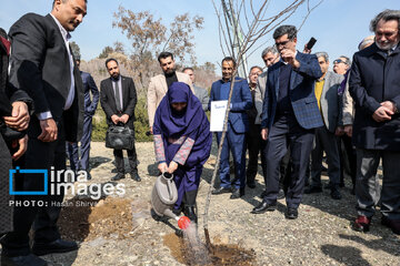 In photos: Foreign diplomats plant wild olive saplings in Tehran