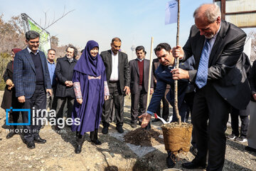 In photos: Foreign diplomats plant wild olive saplings in Tehran