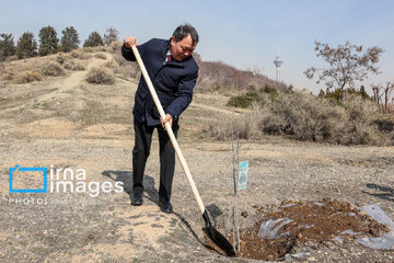 In photos: Foreign diplomats plant wild olive saplings in Tehran