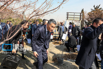 In photos: Foreign diplomats plant wild olive saplings in Tehran