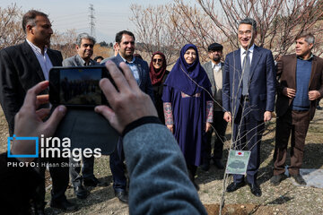 In photos: Foreign diplomats plant wild olive saplings in Tehran