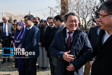In photos: Foreign diplomats plant wild olive saplings in Tehran
