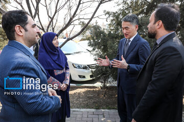 In photos: Foreign diplomats plant wild olive saplings in Tehran