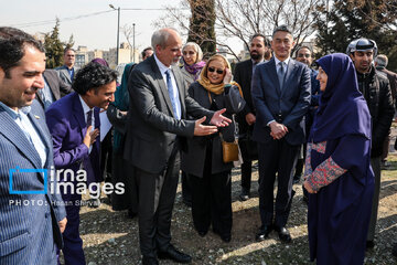 In photos: Foreign diplomats plant wild olive saplings in Tehran