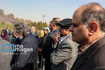 In photos: Foreign diplomats plant wild olive saplings in Tehran