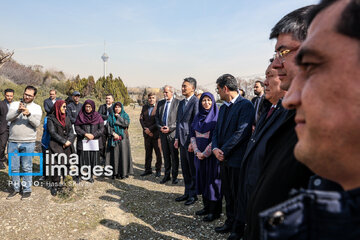 In photos: Foreign diplomats plant wild olive saplings in Tehran