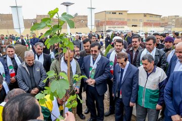 فیلم| غرس نهال در قم به مناسبت هفته درختکاری
