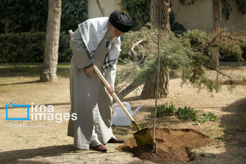 Iran's Leader plants sapling on National Tree Planting Day