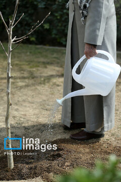 Iran's Leader plants sapling on National Tree Planting Day
