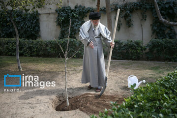 Iran's Leader plants sapling on National Tree Planting Day