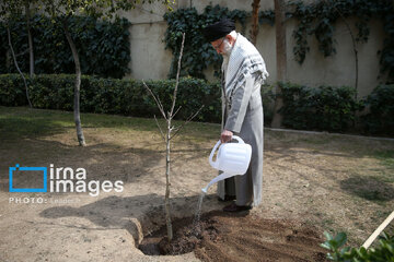 Iran's Leader plants sapling on National Tree Planting Day