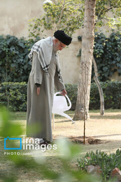 Iran's Leader plants sapling on National Tree Planting Day