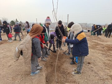 درختکاری به رسم کرج با کاشت نهال توسط نونهالان