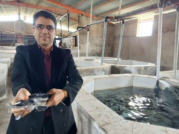 اشتغال ۲۵ هزار نفری در بخش شیلات لرستان