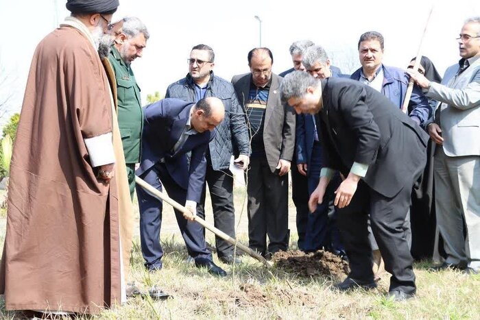 همدلی گیلانی‌ها برای کاشت نهال و حفظ منابع طبیعی
