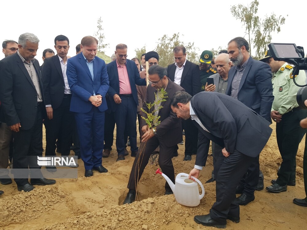 صنایع نفت و گاز تعهد خود را درکاشت یک میلیارد درخت در بوشهر انجام نداده اند صنایع نفت و گاز تعهد خود را درکاشت یک میلیارد درخت در بوشهر انجام نداده اند