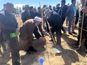 کاشت درخت به یاد ۲۸۵ شهید ابرکوه یزد