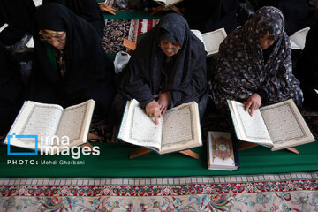 Recitación del Corán en el Santuario del Imam Reza (P)