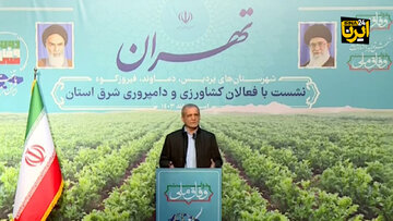 پزشکیان: باید بین منابع و مصارف تعادل برقرار کنیم