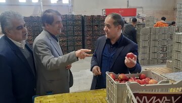 ۲۱ هزار و ۲۰۰  تن میوه شب عید ذخیره سازی شد