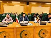غريب ابادي: الاجتماع الطارئ لمنظمة التعاون الإسلامي يختتم أعماله بدراسة مشروع قرار بشأن فلسطين