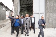کنگاور روی ریل توسعه و پیشرفت